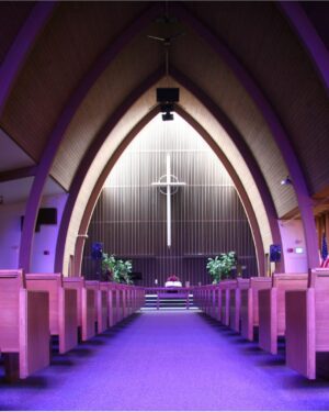 Sanctuary empty purple carpet 2006, 50th