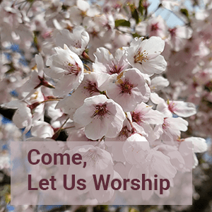 Come, Let Us Worship